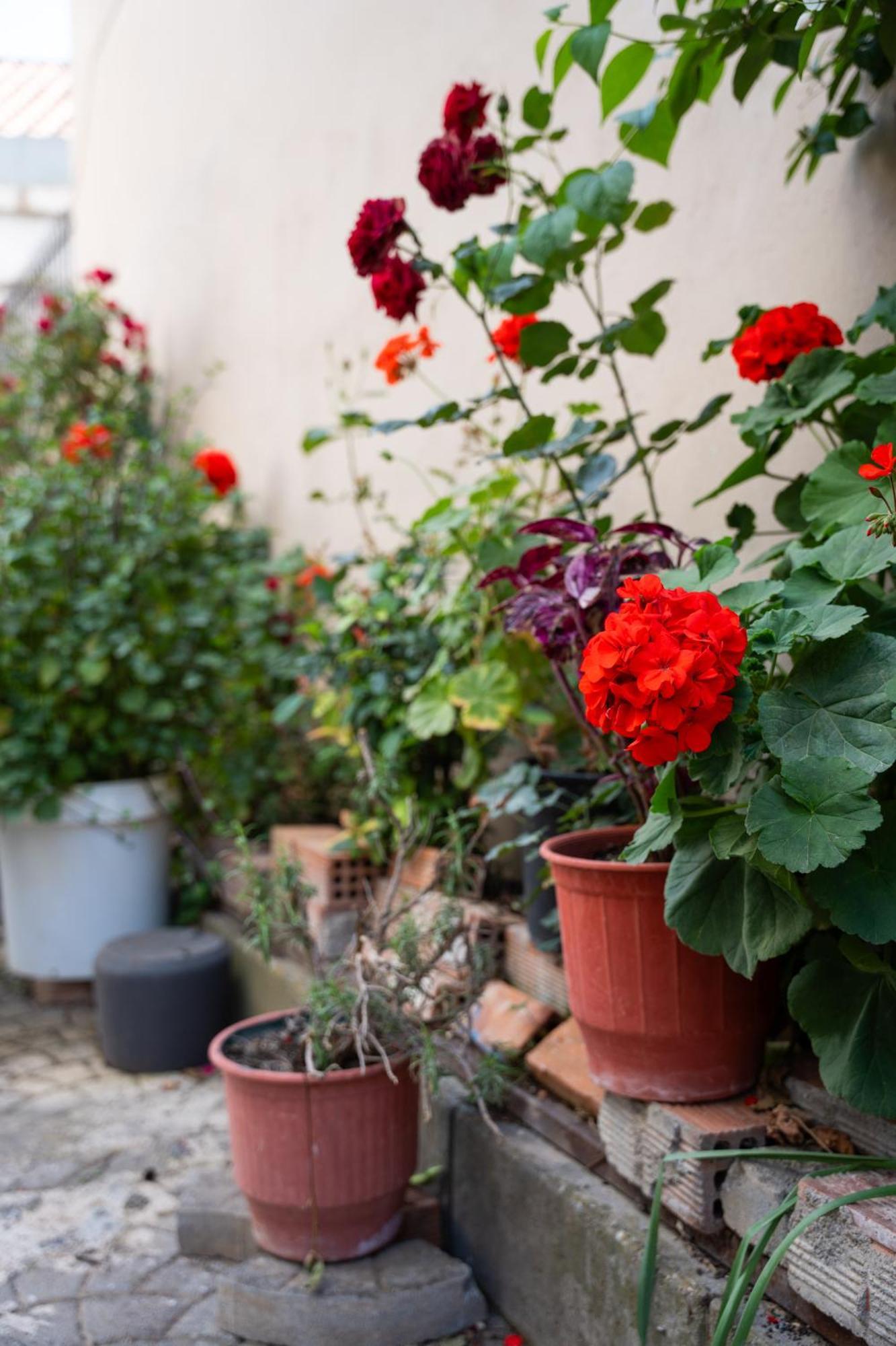Nyx Guesthouse تريبوليس المظهر الخارجي الصورة